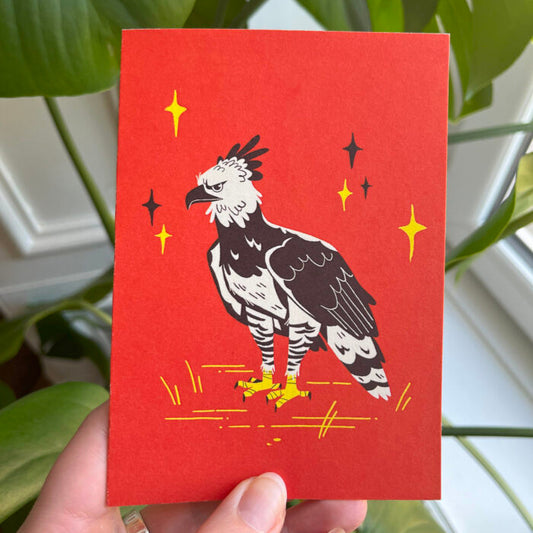 Harpy Eagle Greeting Card